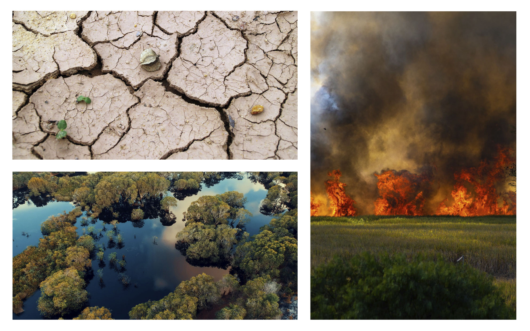 Collage showing effects of climate change. Top left: Drought, bottom left: floods, Right: wildfires